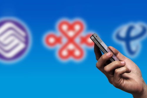 頭條 中國(guó)日?qǐng)?bào)網(wǎng)