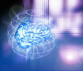 網上數據成 法寶 助東南亞企業發掘電商商機